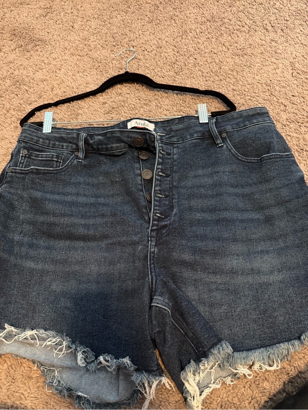 Arula High-Rise Frayed Hem Denim Shorts - Dark Wash